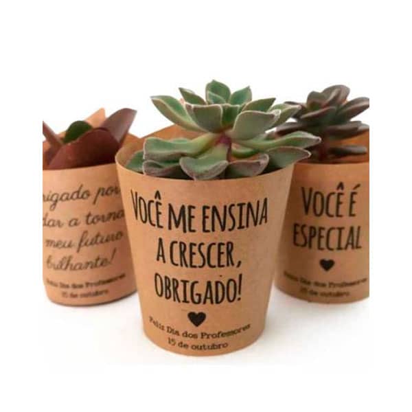 Mini Suculenta com Rótulo Personalizado